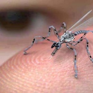 Prurito punture di zanzara: come ridurlo al minimo
