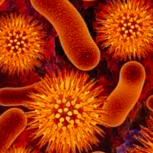 batteri resistenti agli antibiotici