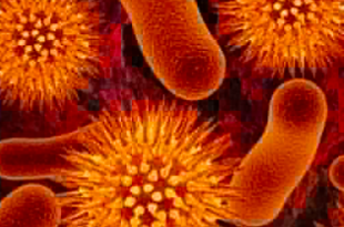 batteri resistenti agli antibiotici