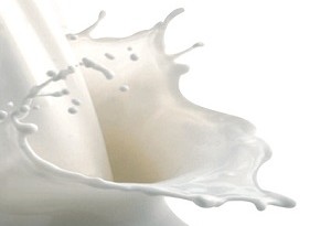 Latte organico: tutta la verità