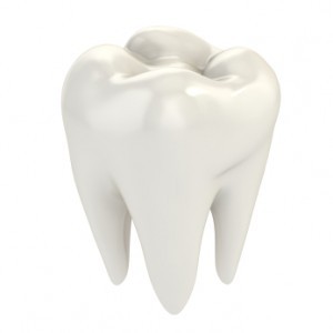dente bianco