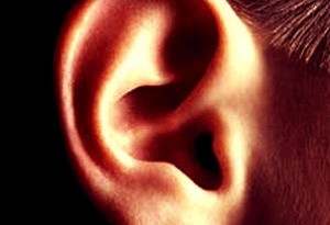 orecchie danni rumore