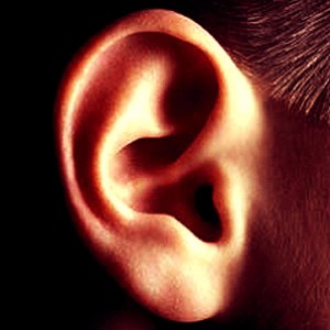 orecchie danni rumore