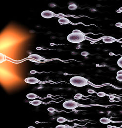 sperma giallo