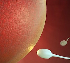sperma poco